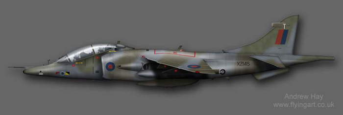 Harrier T.4 XZ145 233 OCU